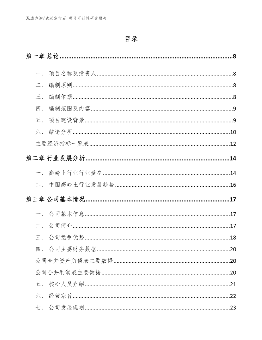 武汉焦宝石 项目可行性研究报告【模板参考】_第2页