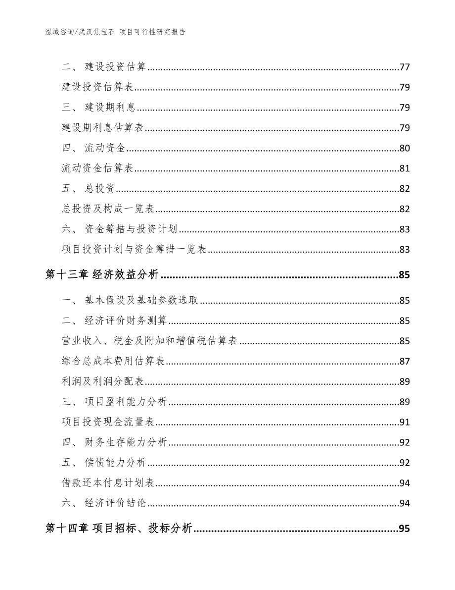 武汉焦宝石 项目可行性研究报告【模板参考】_第5页