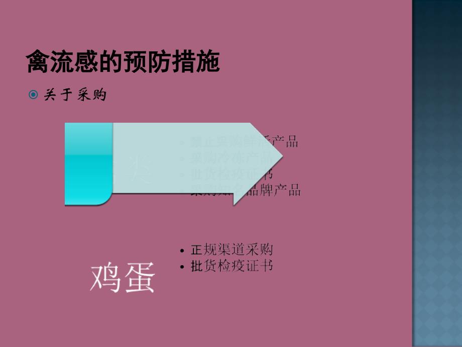 禽流感的预防措施ppt课件_第2页