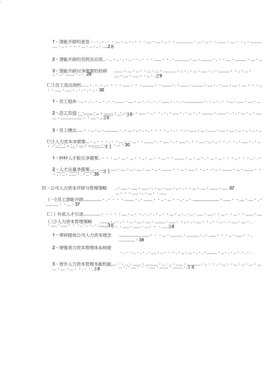 人力资源5年战略规划_第5页