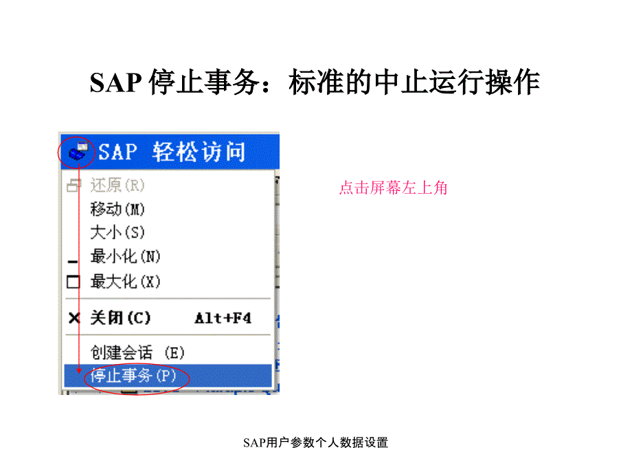 SAP用户参数个人数据设置课件_第3页