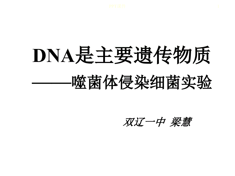 噬菌体侵染细菌过程课件_第1页