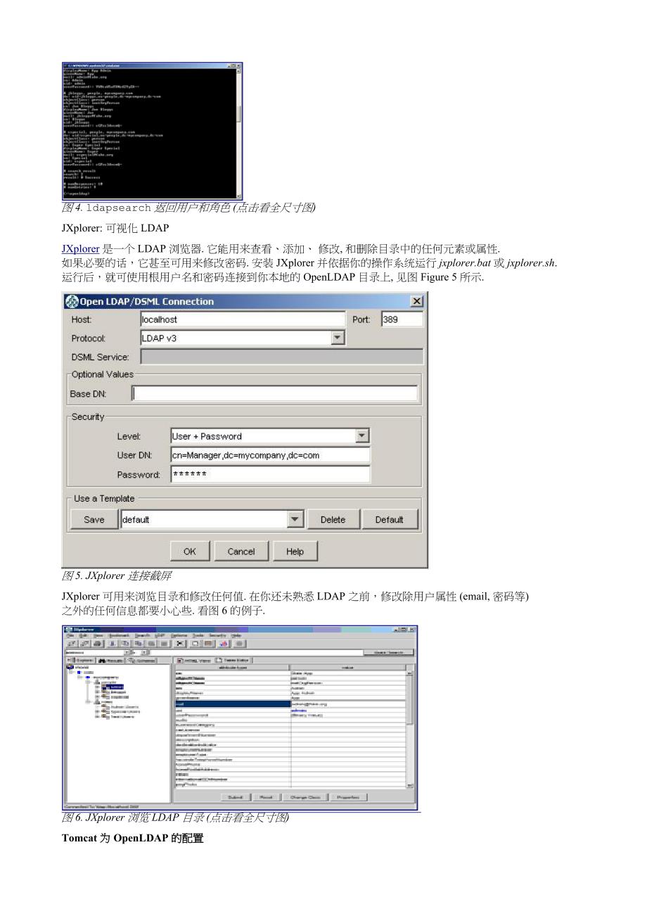 Tomcat和OpenLDAP从配置到应用_第3页