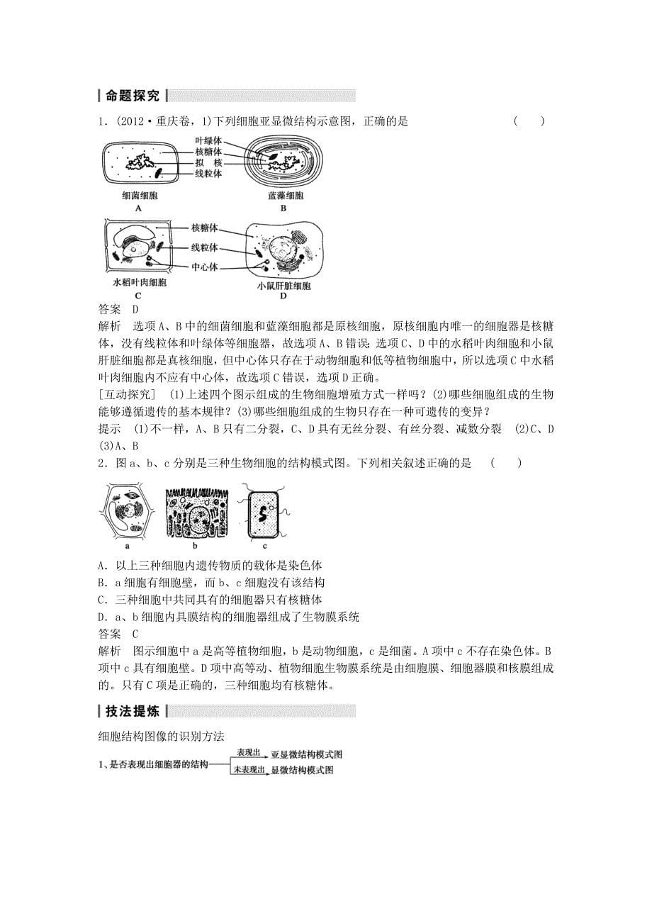 高三生物人教版通用一轮复习教案第1讲走近细胞和组成细胞的分子_第5页