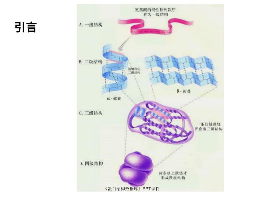 蛋白结构数据库课件_第3页