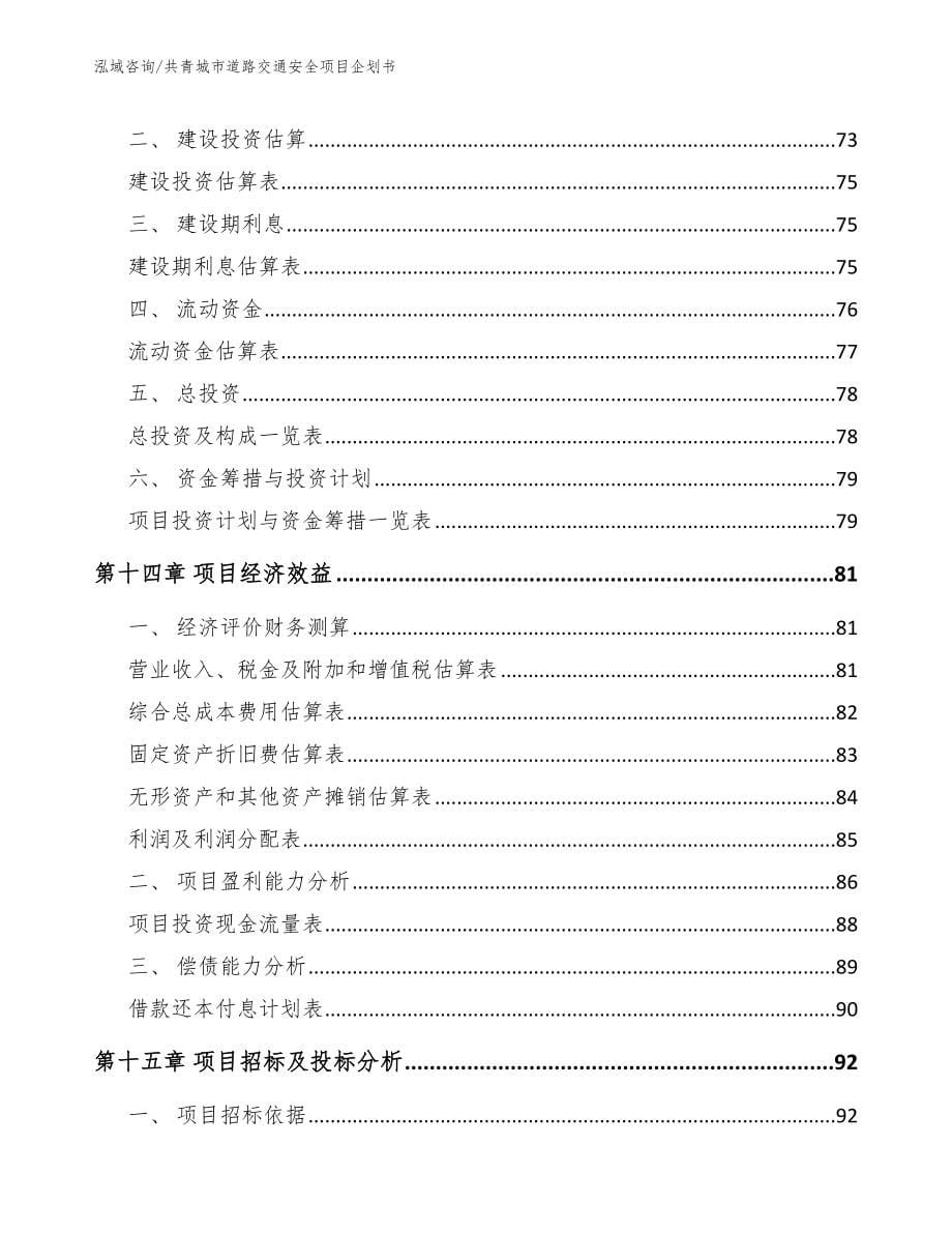 共青城市道路交通安全项目企划书【范文参考】_第5页