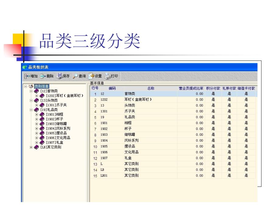 某专卖店项目版介绍_第2页