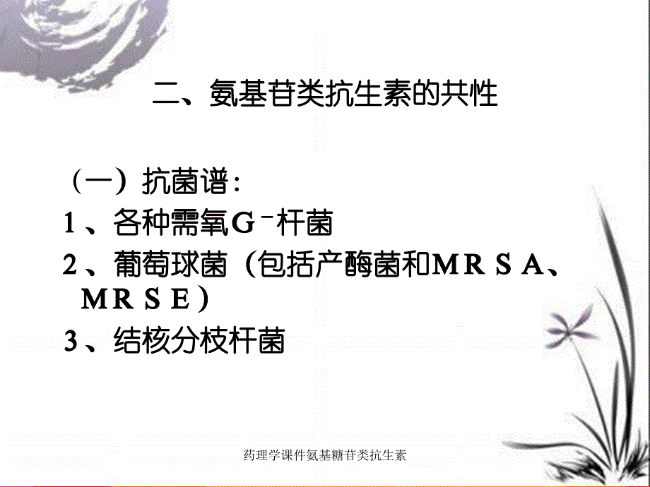 药理学课件氨基糖苷类抗生素_第3页