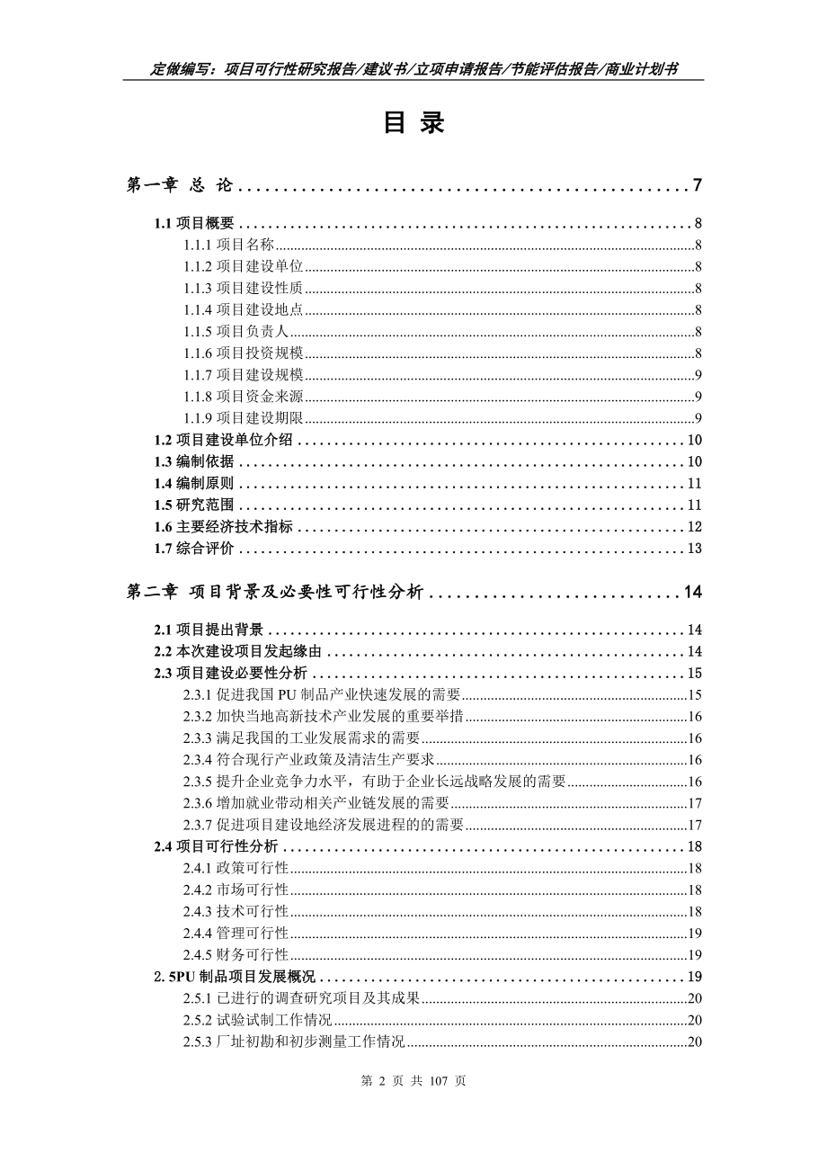 PU制品项目可行性研究报告写作范本_第2页