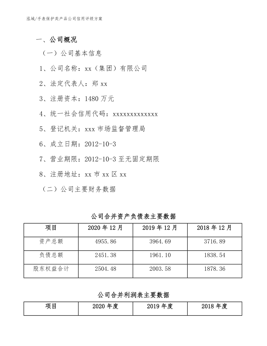 手表保护类产品公司信用评级方案_参考_第3页