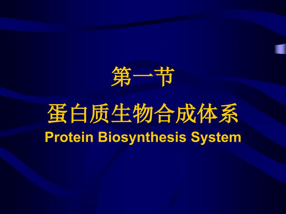 蛋白质的生物合成翻译ProteinBiosynthesisTranslation0000_第4页