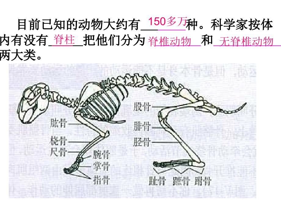 142千姿百态的动物世界_第3页