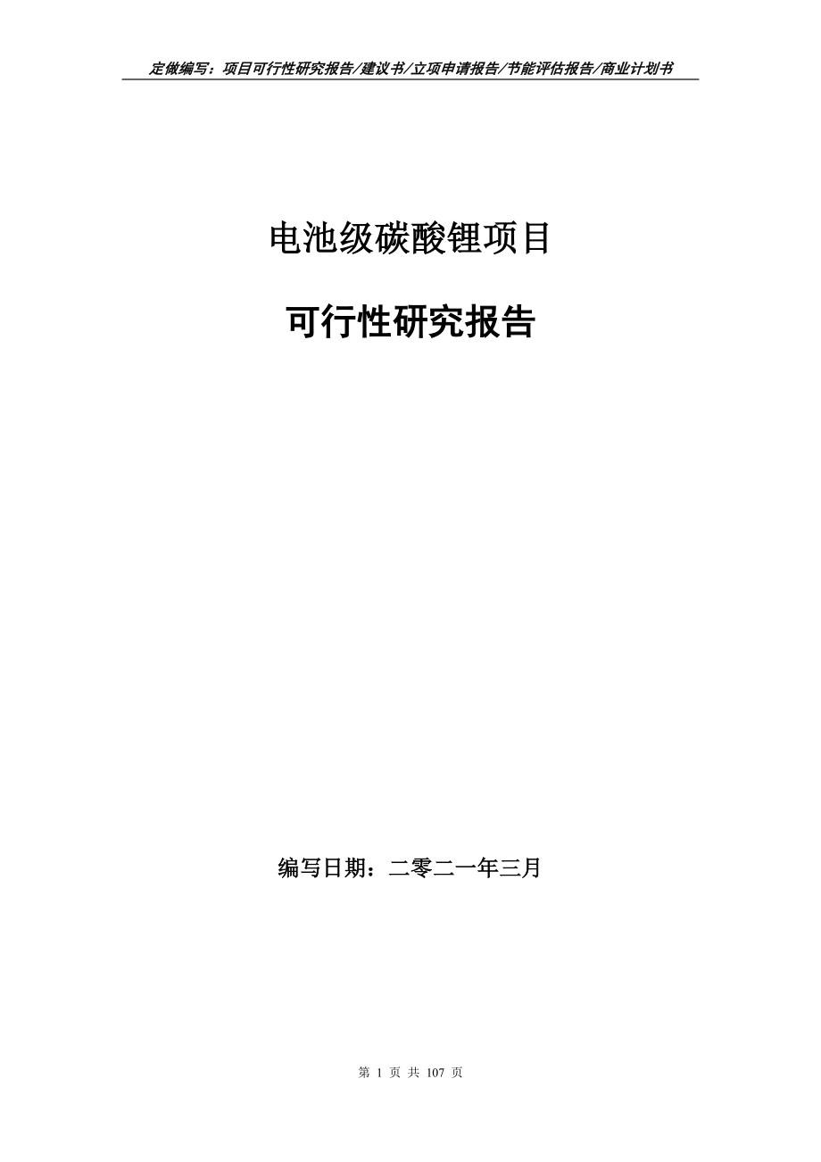 电池级碳酸锂项目可行性研究报告写作范本_第1页