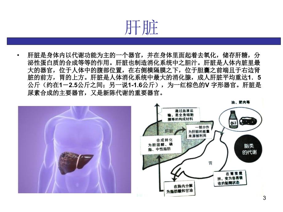 慢性病之肝病ppt课件_第3页