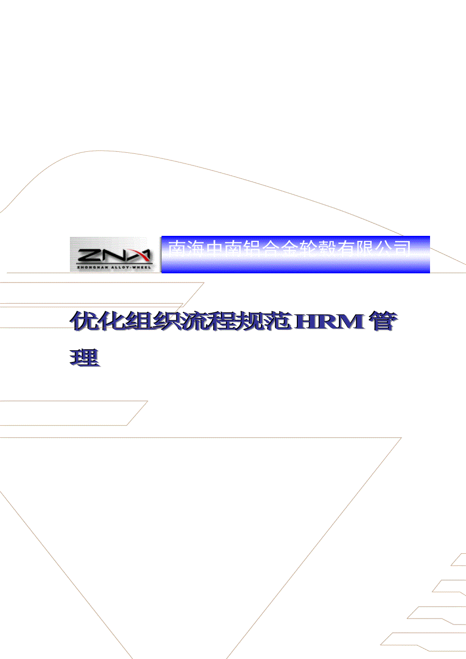 着名咨询公司中南轮毂优化组织标准流程基础规范HRM管理专题方案_第1页