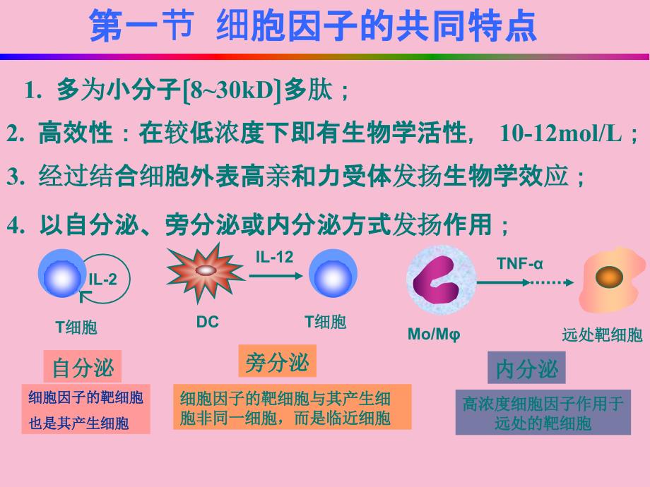 细胞因子ppt课件_第4页