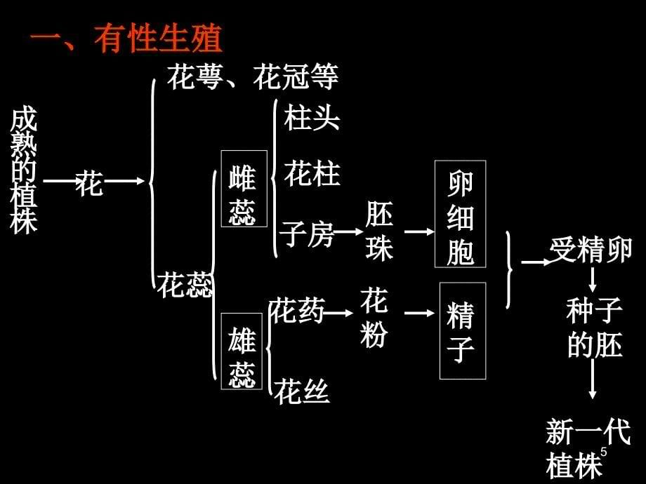 《第一节-植物的生殖》课件_第5页