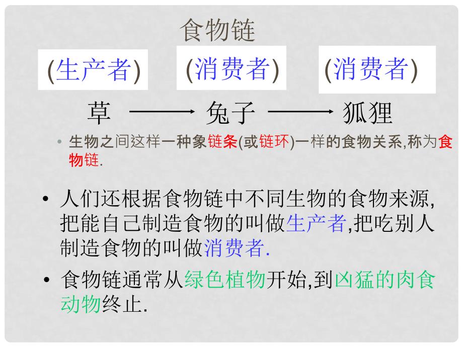 七年级生物上册 第三单元 第6章 生物之间的食物关系课件 （新版）苏科版_第4页