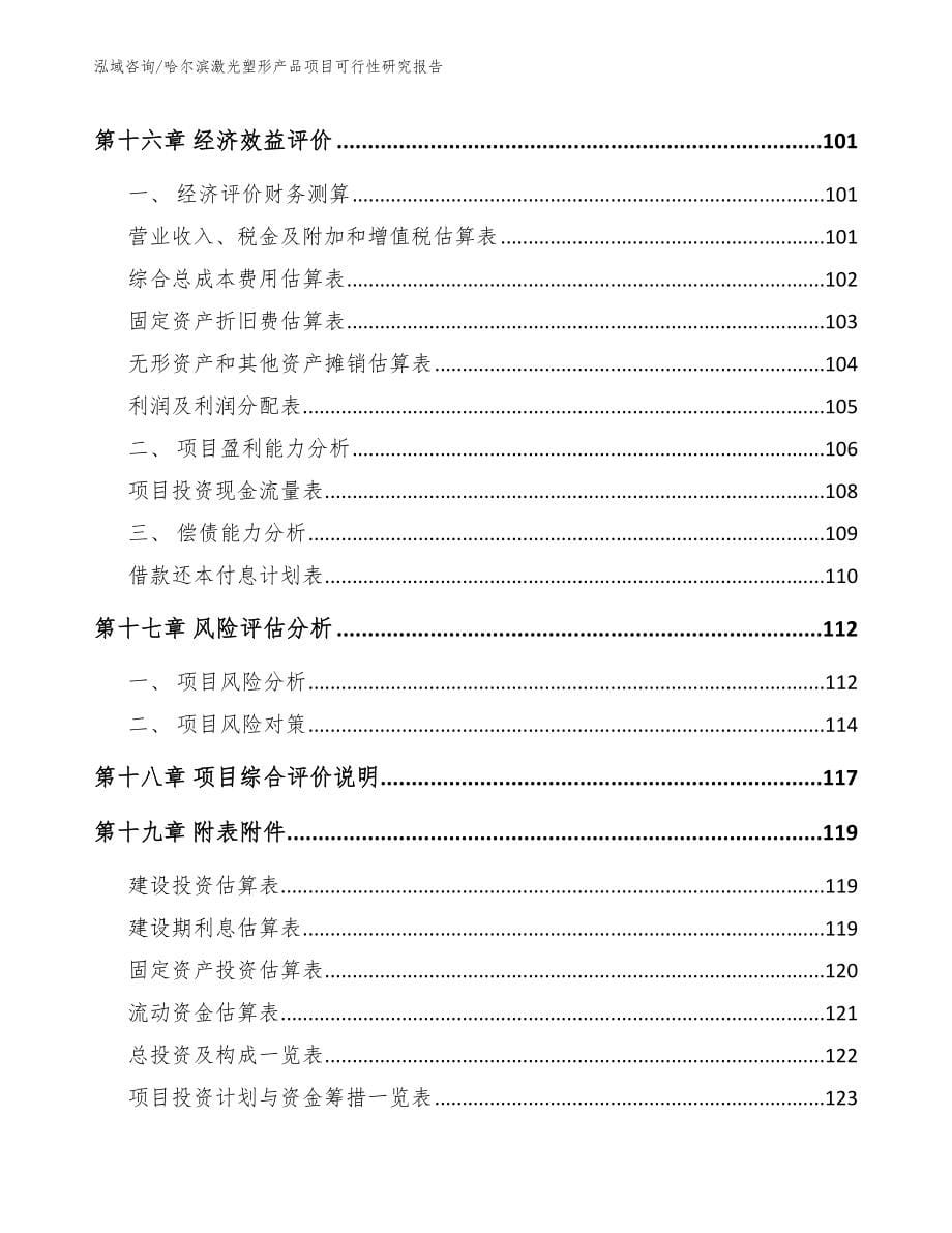 哈尔滨激光塑形产品项目可行性研究报告参考范文_第5页
