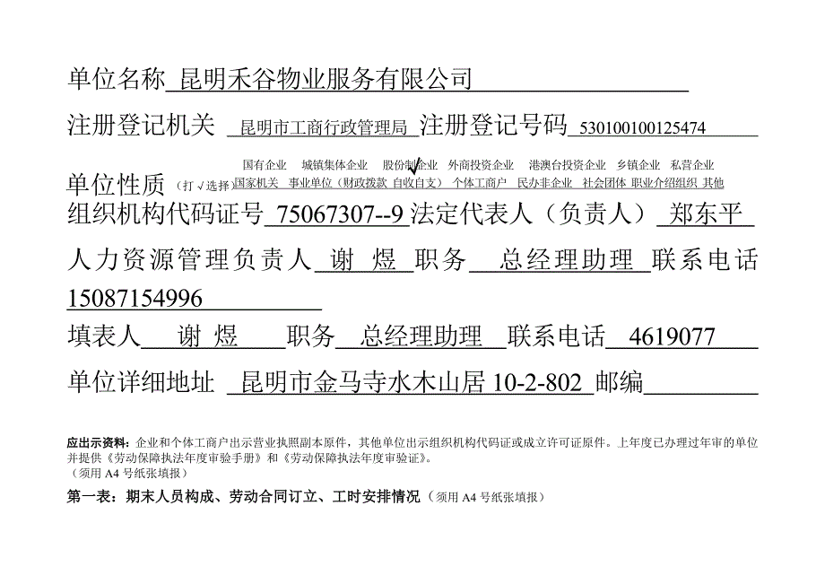 劳动保障执法年审报表_第5页