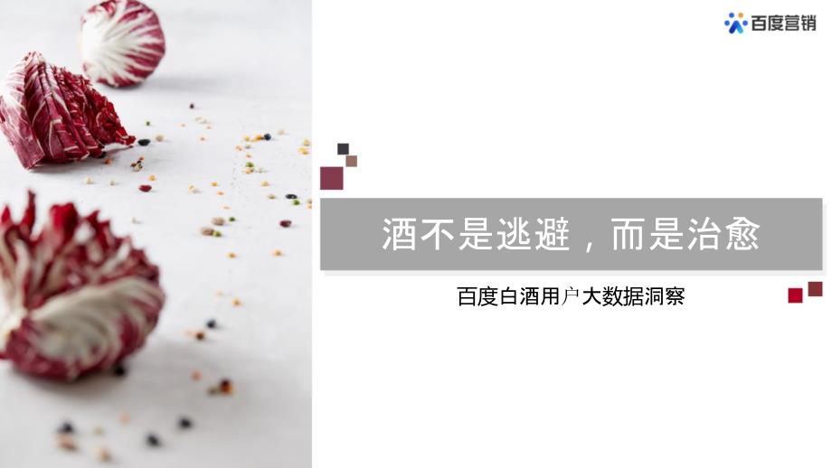 白酒用户大数据研究报告_第1页