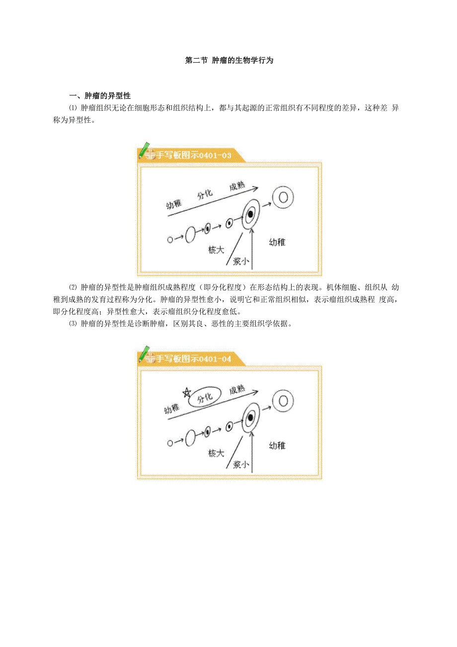 病理学讲义_第2页