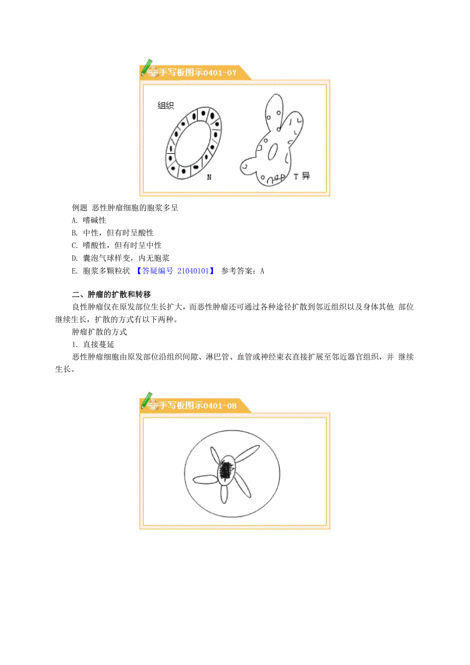 病理学讲义_第4页