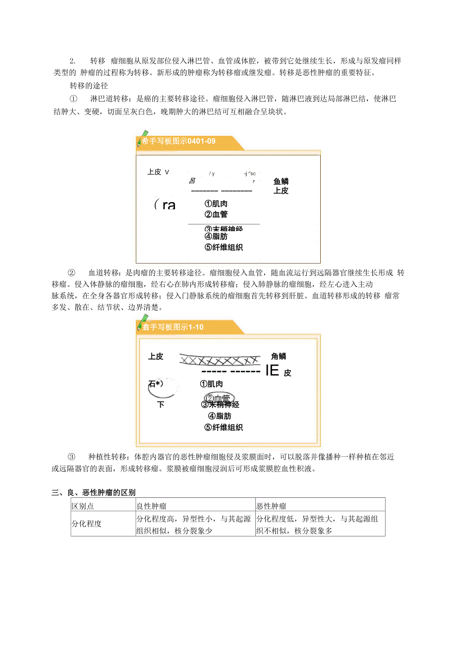 病理学讲义_第5页