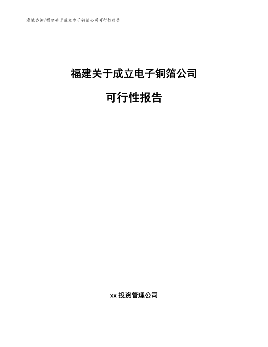 福建关于成立电子铜箔公司可行性报告范文模板_第1页