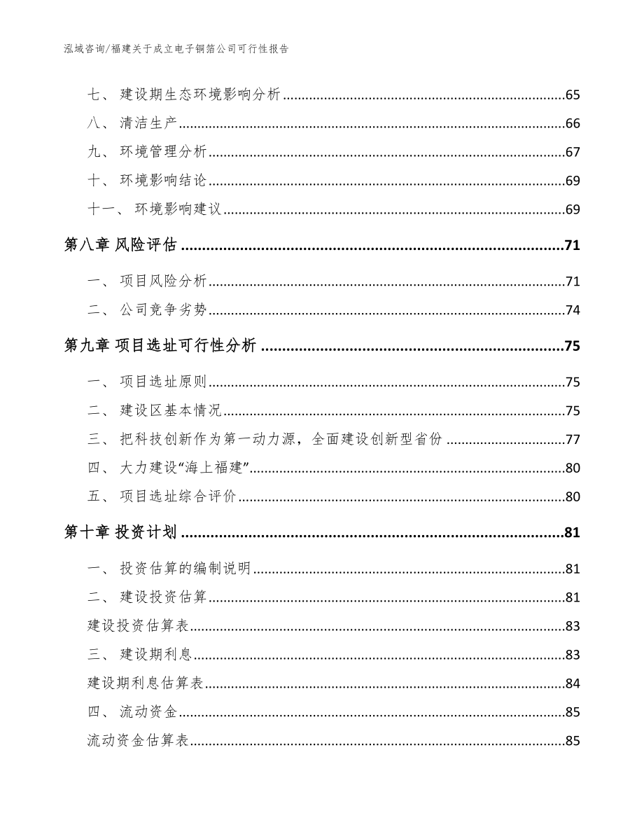 福建关于成立电子铜箔公司可行性报告范文模板_第4页