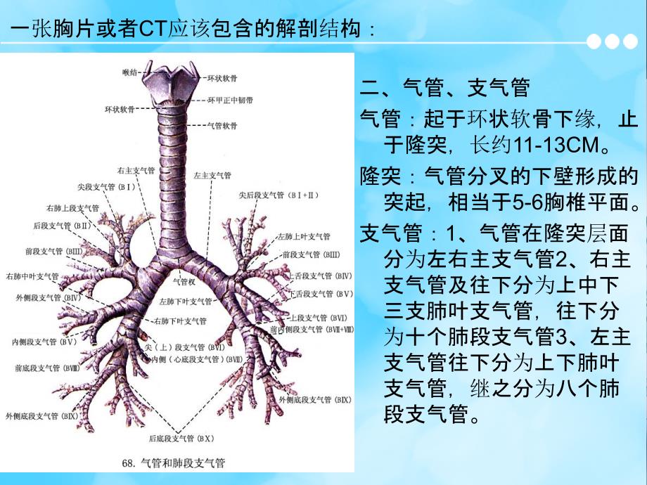 胸片及胸部CT的阅读内容及肺段定位ppt课件_第3页