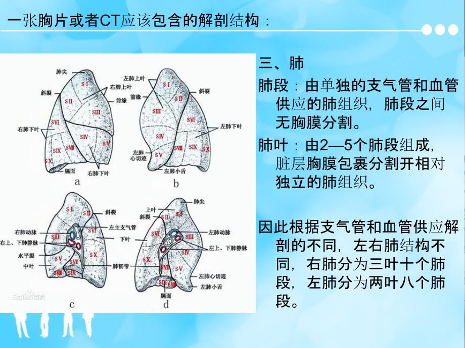 胸片及胸部CT的阅读内容及肺段定位ppt课件_第4页