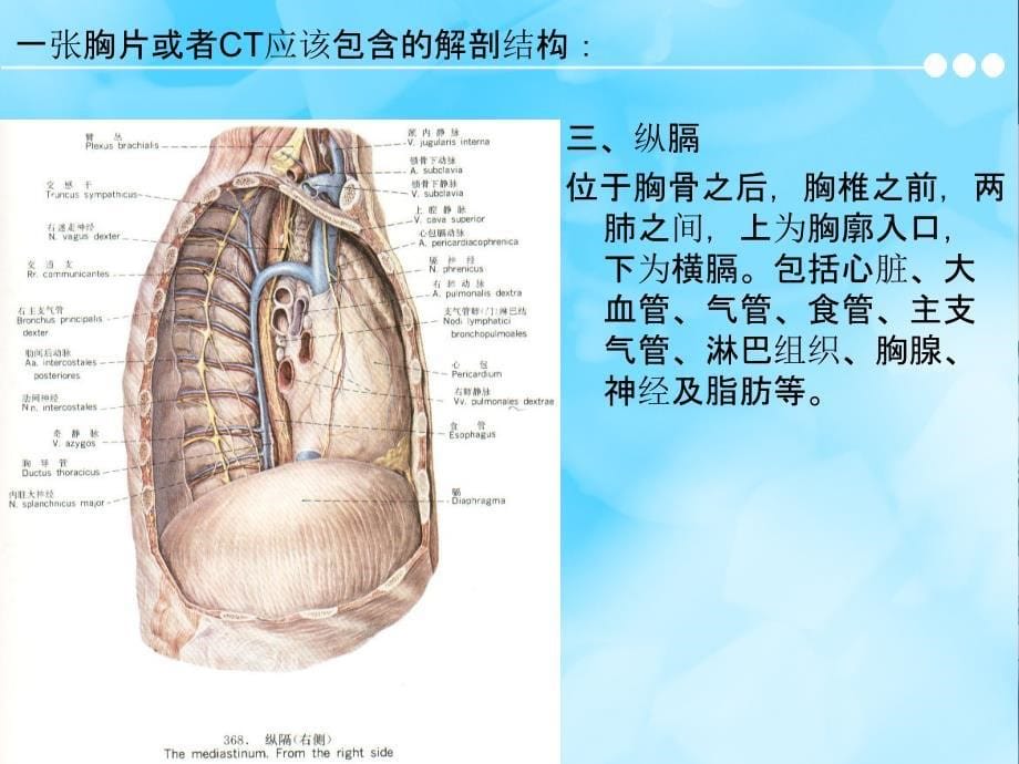 胸片及胸部CT的阅读内容及肺段定位ppt课件_第5页