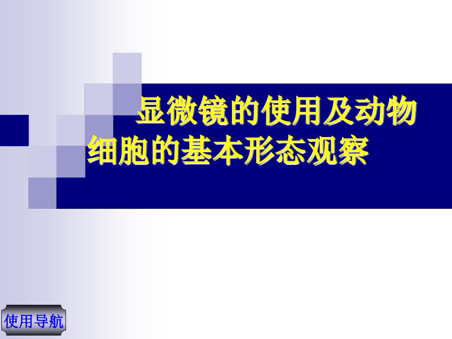 动物细胞形态观察.ppt_第1页