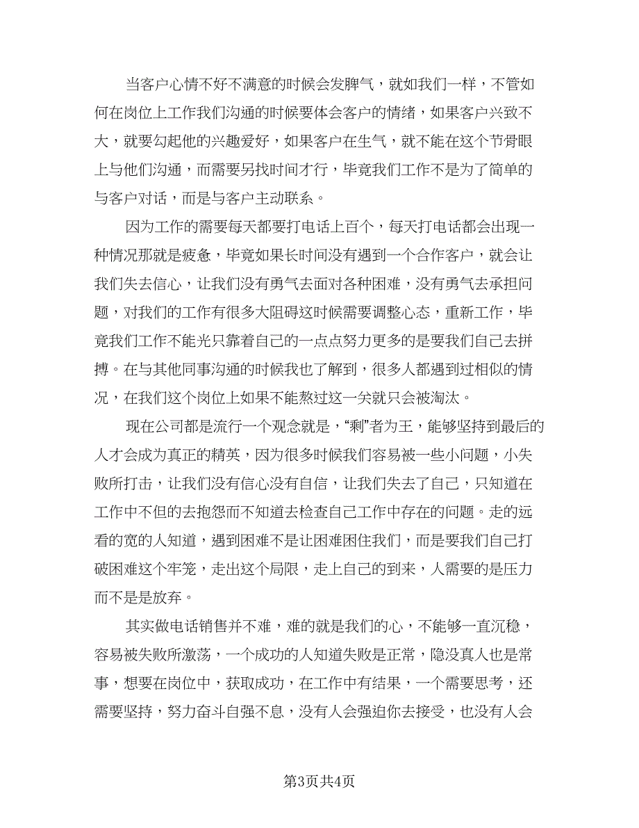 2023电话销售年度考核个人简短总结范文（2篇）.doc_第3页