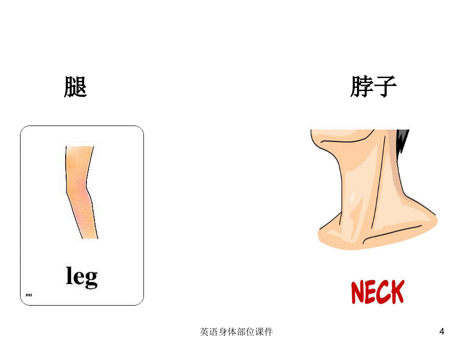 英语身体部位课件课件_第4页