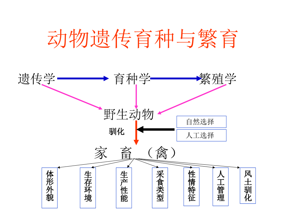 动物遗传育种繁殖学参考课件_第4页