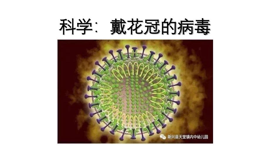 科学《戴花冠的病毒》课件_第1页