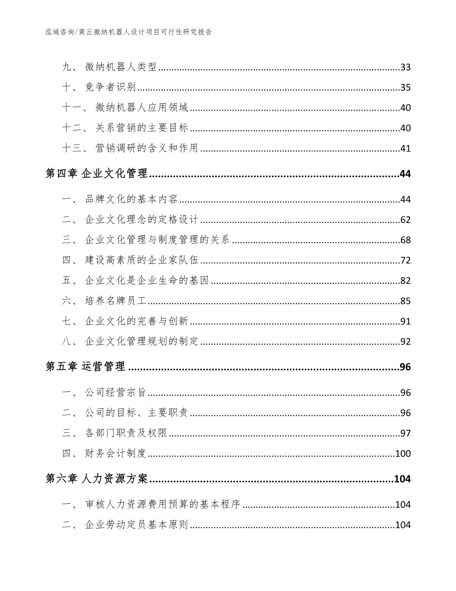 商丘微纳机器人设计项目可行性研究报告模板范本_第2页