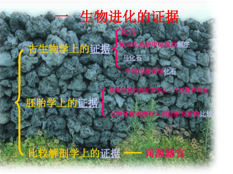 浙江省文成中学吴丽媛_第4页