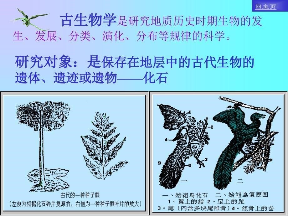 浙江省文成中学吴丽媛_第5页