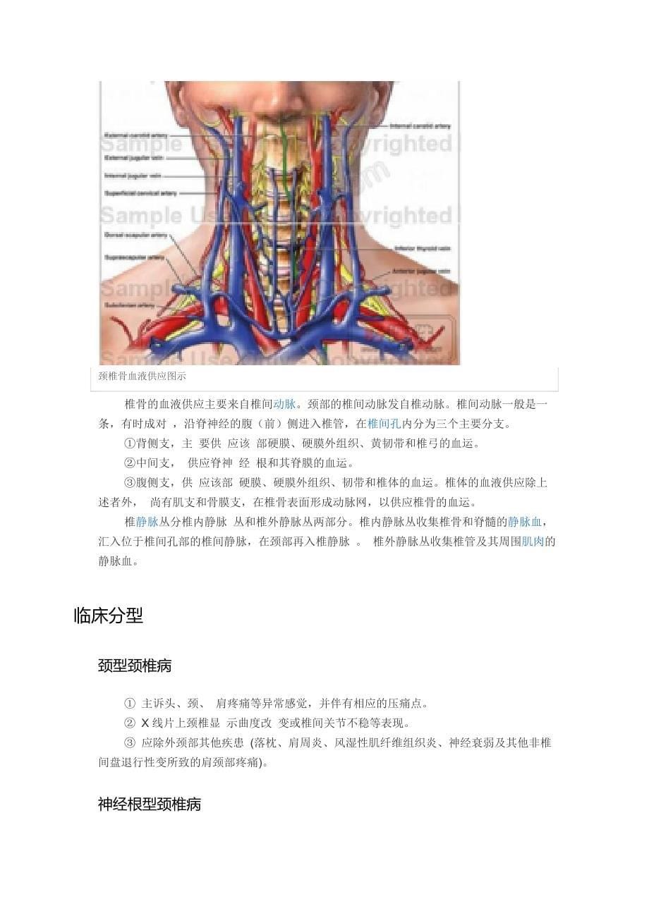 颈椎病的生理和解剖_第5页