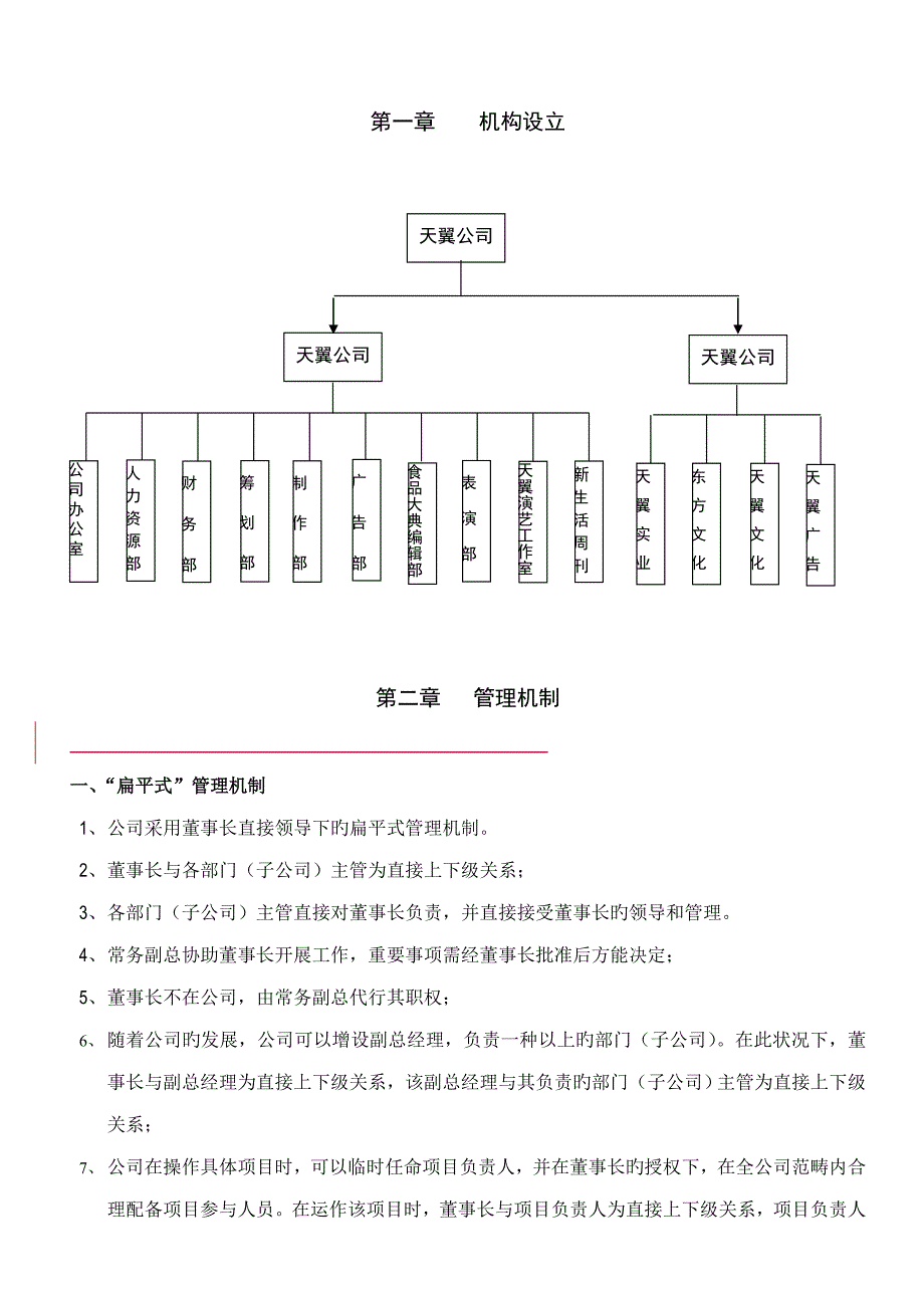 天翼公司管理标准手册_第1页