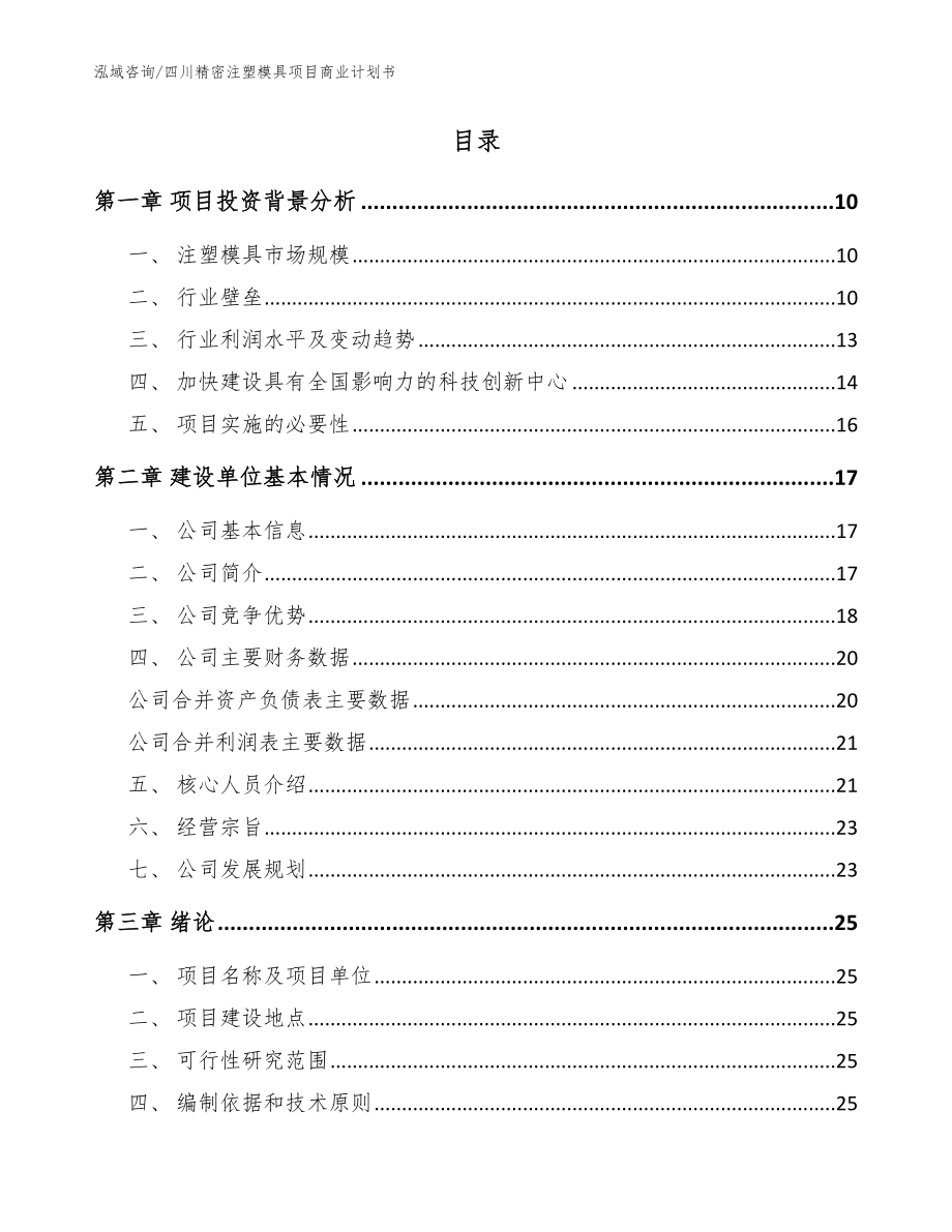 四川精密注塑模具项目商业计划书（模板范文）_第2页