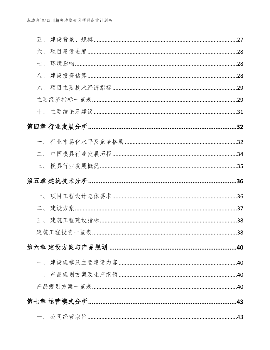 四川精密注塑模具项目商业计划书（模板范文）_第3页