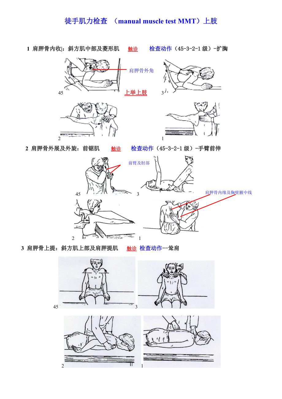 徒手肌力检查all.doc_第3页