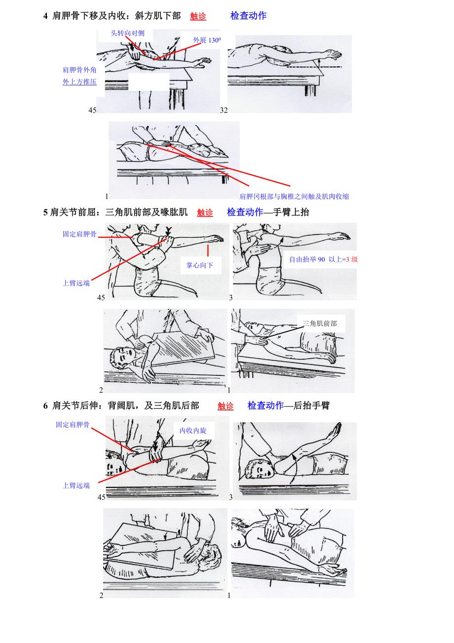 徒手肌力检查all.doc_第4页