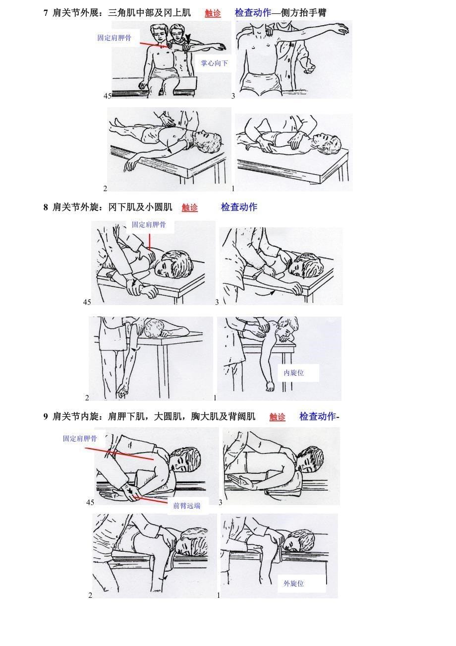 徒手肌力检查all.doc_第5页