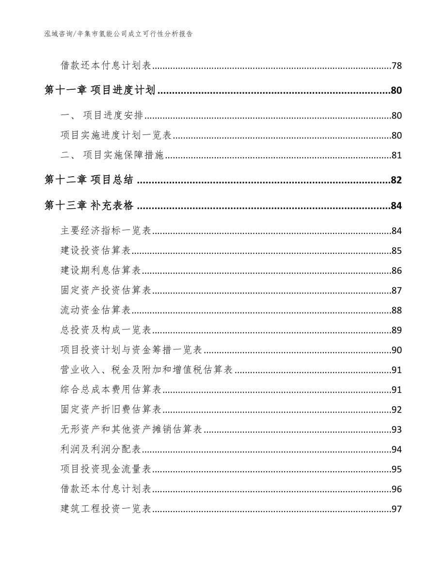 辛集市氢能公司成立可行性分析报告模板参考_第5页