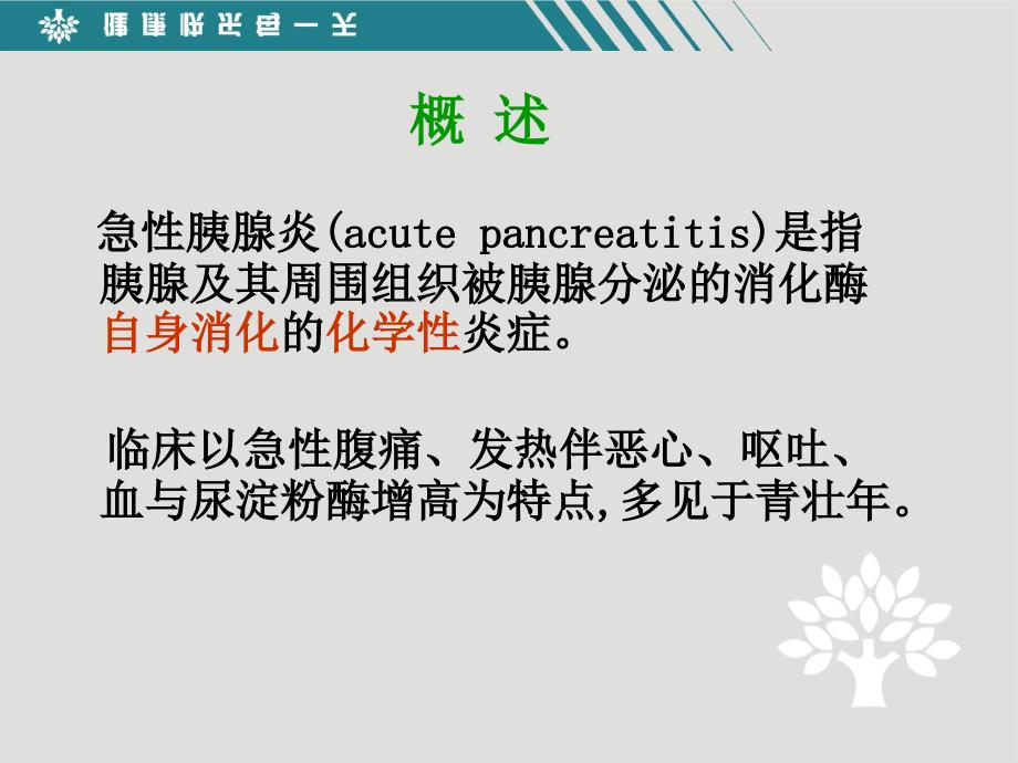 急性胰腺炎病人的护理PPT课件_第3页